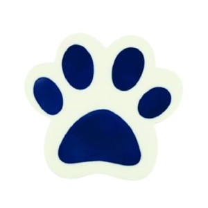 BORRACHA FANTASIA PATINHAS COLORIDA KAZ