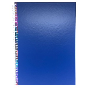 CADERNO ESP QUADRICULADO 1X1 CD UNIV 96 FLS (ENCAPADO AZUL)