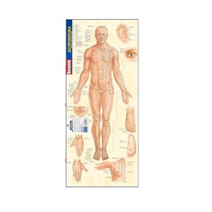 RESUMÃO ACUPUNTURA - MERIDIANOS E VASOS LINHAS E PONTOS