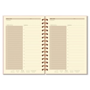 PLANNER DIARIO LEVE AMOR FINA IDEIA