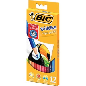 LÁPIS DE COR SEXTAVADO EVOLUTION 12 CORES BIC